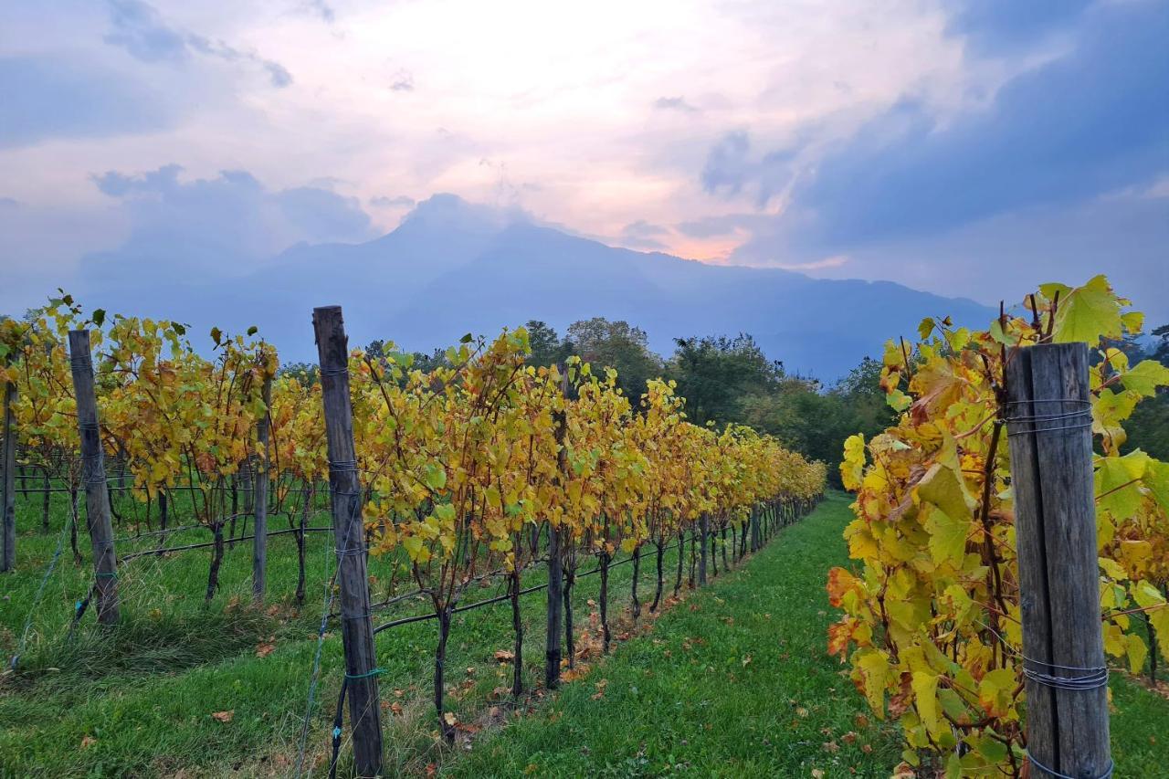 Agritur Ponte Alto Villa Trento Exteriör bild