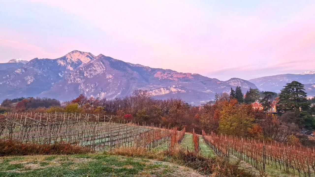 Agritur Ponte Alto Villa Trento Exteriör bild
